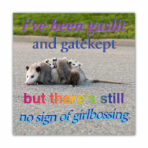 I've Been Gaslit And Gatekept, But There's Still No Sign Of Girlbossing - Opossum/Possum - Funny Bumper Stickers [00626]