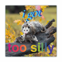 I Got, Too Silly - Opossum/Possum - Funny Bumper Stickers [00629]