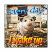 Everyday, I Wake Up - Opossum/Possum - Funny Bumper Stickers [00630]