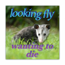 Looking Fly, Wanting To Die - Opossum/Possum - Funny Bumper Stickers [00631]