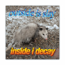 Outside Is Slay, Inside I Decay - Opossum/Possum - Funny Bumper Stickers [00633]