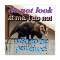 Do Not Look At Me. I Do Not, Wish To Be Perceived - Opossum/Possum - Funny Bumper Stickers [00634]