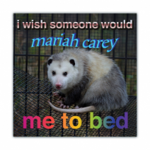 I Wish Someone Would Carey Me To Bed - Opossum/Possum - Funny Bumper Stickers [00637]