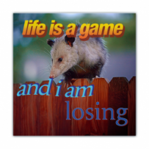 Life Is A Game, And I Am Loosing - Opossum/Possum - Funny Bumper Stickers [00639]