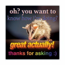 Oh? You Want To Know How I'm Doing? Great Actually! Thanks For Asking:) - Opossum/Possum - Funny Bumper Stickers [00641]