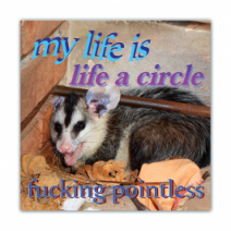 My Life Is Life A Circle, Fucking Pointless - Opossum/Possum - Funny Bumper Stickers [00644]