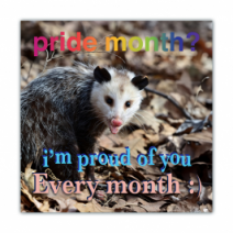 Pride Month? I'm Proud Of You Every Month:) - Opossum/Possum - Funny Bumper Stickers [00646]