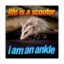 Life Is A Scooter, I Am An Ankle - Opossum/Possum - Funny Bumper Stickers [00651]