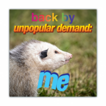 Back By Unpopular Demand: Me - Opossum/Possum - Funny Bumper Stickers [00654]