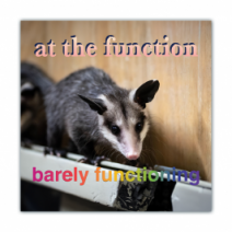 At The Function, Barely Functioning - Opossum/Possum - Funny Bumper Stickers [00655]