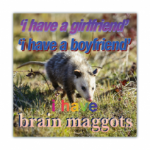 'i Have A Girlfriend' 'i Have A Boyfriend', I Have Brain Maggots - Opossum/Possum - Funny Bumper Stickers [00656]