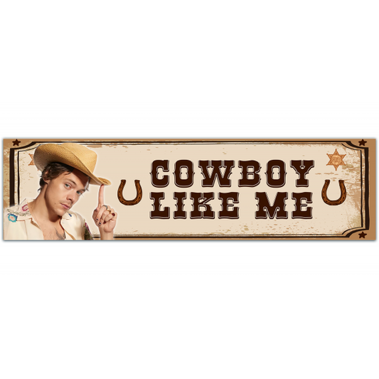 Cowboy Like Me, Bumper Sticker [00066]