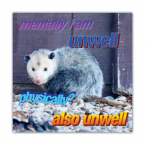 Mentally Unwell, Physically? Also Unwell - Opossum/Possum - Funny Bumper Stickers [00660]