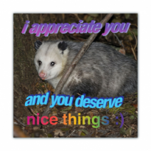 I Appreciate You, And You Deserve Nice Things:) - Opossum/Possum - Funny Bumper Stickers [00661]