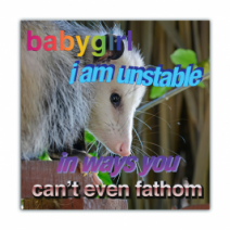 Babygirl I Am Unstable, In Ways You Can't Even Fathom - Opossum/Possum - Funny Bumper Stickers [00664]