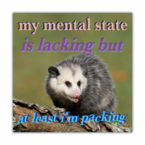 My Mental State Is Lacking But, At Least I'm Packing - Opossum/Possum - Funny Bumper Stickers [00668]