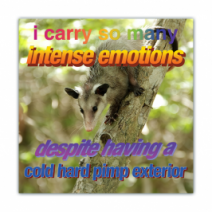 I Carry So Many Intense Emotions, Despite Having A Cold Hard Pipmp Exterior - Opossum/Possum - Funny Bumper Stickers [00672]