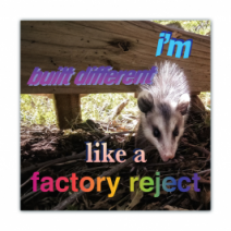 I'm Built Different, Like A Factory Reject - Opossum/Possum - Funny Bumper Stickers [00673]