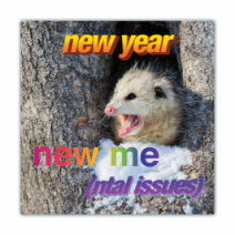 New Year, New Me (Intal Issues) - Opossum/Possum - Funny Bumper Stickers [00674]