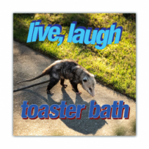 Live, Laugh, Toaster Bath - Opossum/Possum - Funny Bumper Stickers [00676]