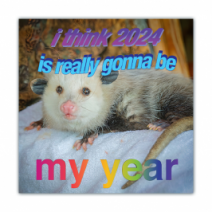 I Think 2024 Is Really Gonna Be, My Year - Opossum/Possum - Funny Bumper Stickers [00677]