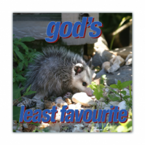 God's, Least Favourite - Opossum/Possum - Funny Bumper Stickers [00678]