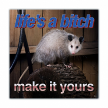 Life's A B**ch, Make It Yours - Opossum/Possum - Funny Bumper Stickers [00680]