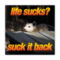 Life Sucks?, Suck It Back - Opossum/Possum - Funny Bumper Stickers [00681]