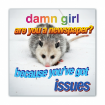 Damm Girl Are You A Newspaper?, Because You've Got Issues - Opossum/Possum - Funny Bumper Stickers [00682]