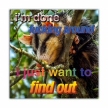 I'm Done Fucking Around, I Just Want To Find Out. - Opossum/Possum - Funny Bumper Stickers [00686]