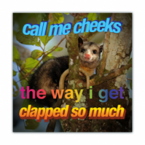 Call Me Cheeks, The Way I Get Clapped So Much - Opossum/Possum - Funny Bumper Stickers [00687]