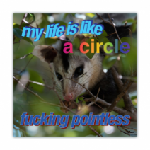 My Life Is Like A Circle, Fucking Pointless - Opossum/Possum - Funny Bumper Stickers [00689]