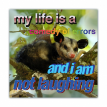 My Life Is A Comedy Of Errors, And I Am Not Laughing - Opossum/Possum - Funny Bumper Stickers [00691]