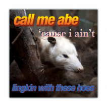 Call Me Abe 'because I Ain't, Linking With These Hoes - Opossum/Possum - Funny Bumper Stickers [00694]