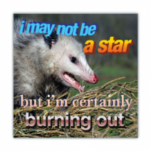 I May Not Be A Star, But I'm Certainly Burning Out - Opossum/Possum - Funny Bumper Stickers [00703]