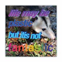 Life May Be Plastic, But Itis Not Fantastic - Opossum/Possum - Funny Bumper Stickers [00704]