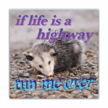 If Life Is A Highway, Run Me Over - Opossum/Possum - Funny Bumper Stickers [00706]