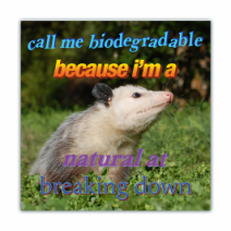 Call Me Biodegrable Because I'm A, Natural At Breaking Down - Opossum/Possum - Funny Bumper Stickers [00713]