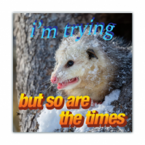 I'm Trying, But So Are The Times - Opossum/Possum - Funny Bumper Stickers [00714]