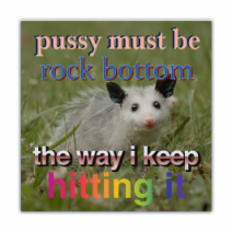 P***y Must Be Rock Bottom, The Way I Keep Hitting It - Opossum/Possum - Funny Bumper Stickers [00715]