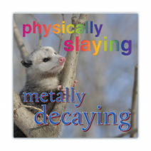 Physically Slaying, Metally Decaying - Opossum/Possum - Funny Bumper Stickers [00717]