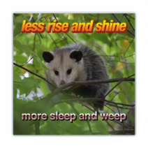 Less Rise And Shine, More Sleep And Weep - Opossum/Possum - Funny Bumper Stickers [00719]