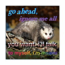 Go Head Ignore Me All, You Want I'll Talk To Myself, I'm Insane - Opossum/Possum - Funny Bumper Stickers [00721]