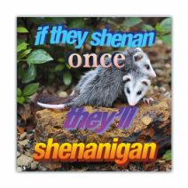 If They Shenan Once, They'll Shenanigan - Opossum/Possum - Funny Bumper Stickers [00724]