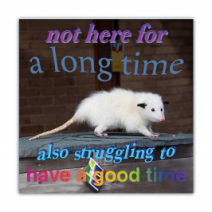 Not Here For A Long Time, Also Struggling To Have A Good Time - Opossum/Possum - Funny Bumper Stickers [00727]