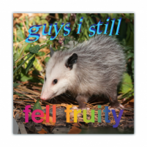 Guys I Still, Fell Fruitly - Opossum/Possum - Funny Bumper Stickers [00728]