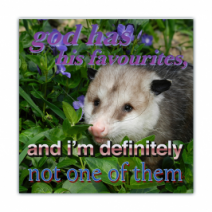 God Has His Favourites, And I'm Definitely Not One Of Them - Opossum/Possum - Funny Bumper Stickers [00729]