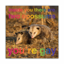 Inside You There Are Two Opossum/Possums, You're Gay - Opossum/Possum - Funny Bumper Stickers [00730]