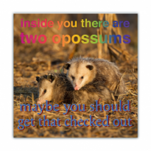 Inside You There Are Two Opossum/Possums, Maybe You Should Get That Checked Out - Opossum/Possum - Funny Bumper Stickers [00731]