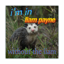 I'm In Liam Payne, Without The Liam - Opossum/Possum - Funny [00733]